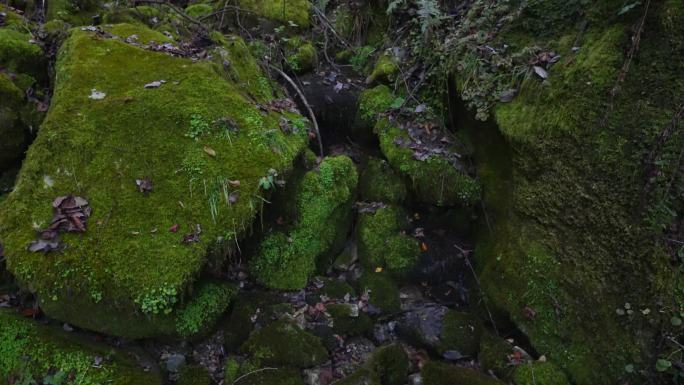 清澈的山涧溪水高速升格4K镜头