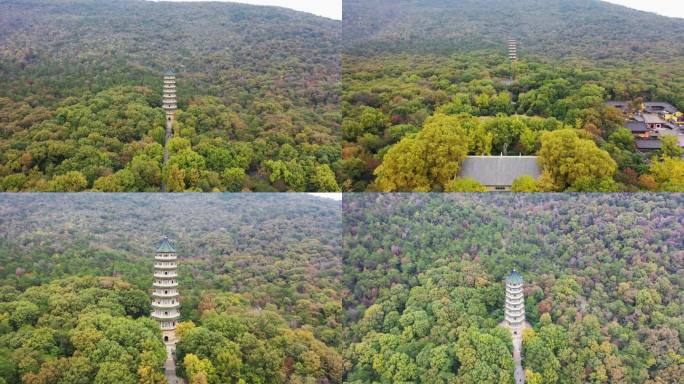 航拍南京钟山景区中的灵谷风景区