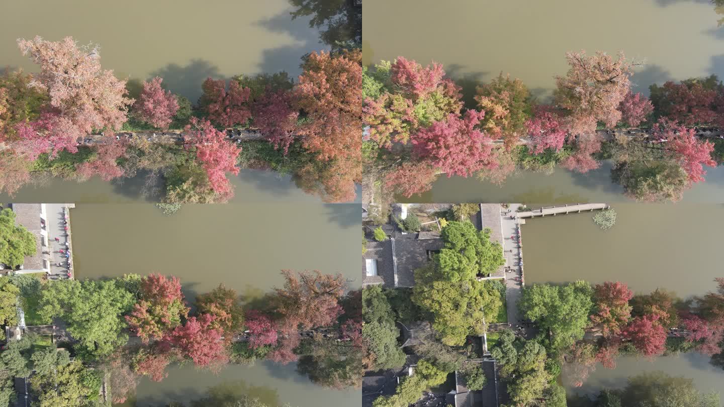 【高清素材】苏州天平山秋景