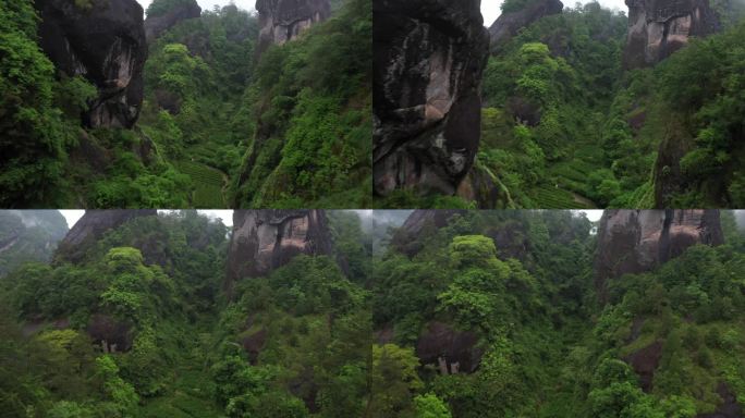 航拍武夷山茶山