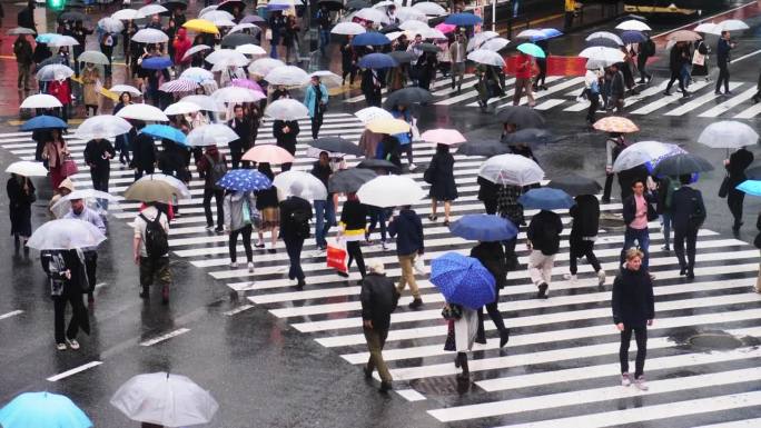 一群人打着伞在雨中行走