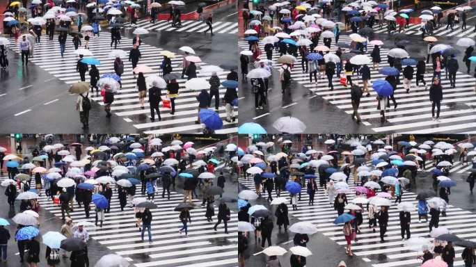 一群人打着伞在雨中行走