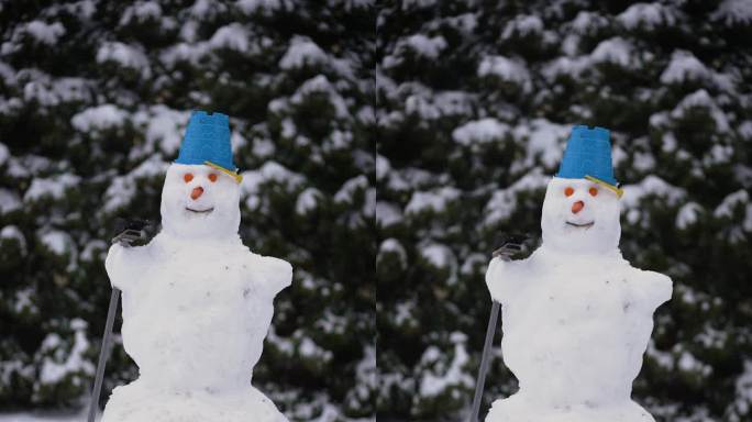 大雪人与胡萝卜的眼睛，鼻子，和斗帽栖息在它的头上在冬天和雪站在后院，垂直视频