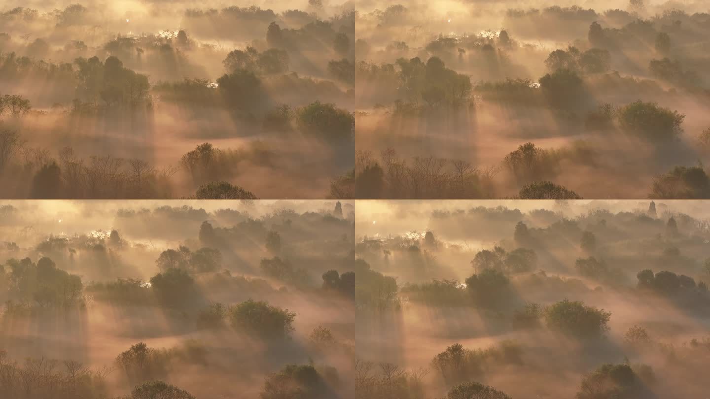 中国杭州西溪湿地云雾缭绕耶稣光倾洒而下