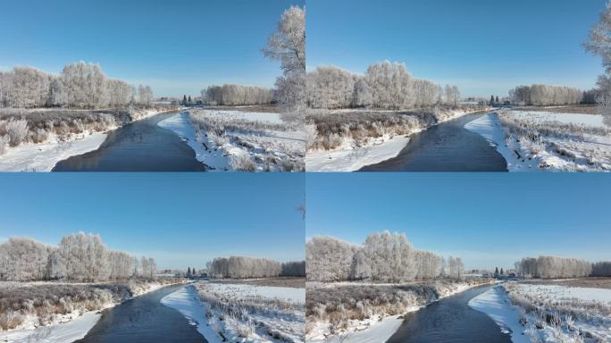 初冬湿地河流树挂雪松