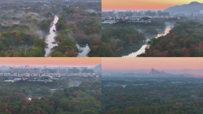 4k11月底晴天日出前西溪湿地冬日晨雾风