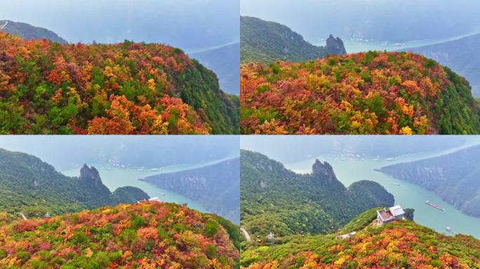 大气三峡红叶航拍