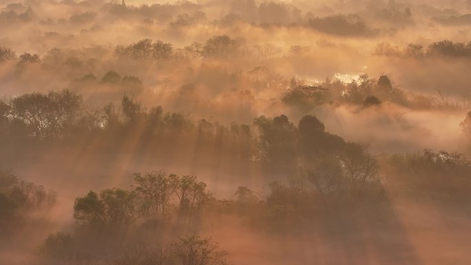 中国杭州西溪湿地云雾缭绕耶稣光倾洒而下