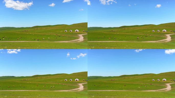 草原 蒙古包 牛群 羊群 生态 牛羊