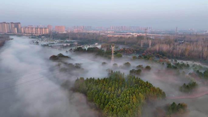 古淮河湿地公园云雾缭绕如仙境