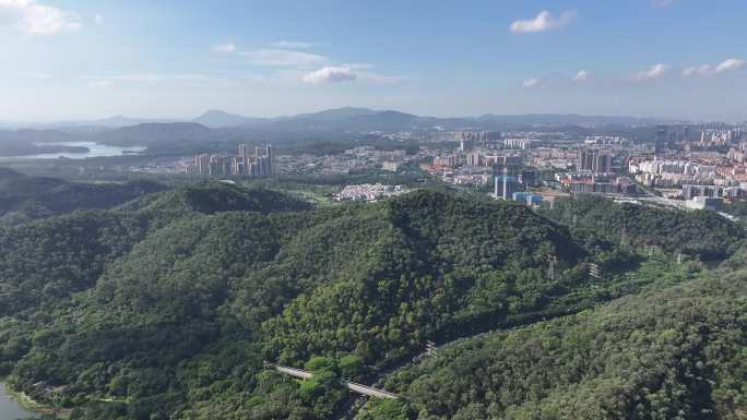 广东省东莞市黄旗山城市公园航拍