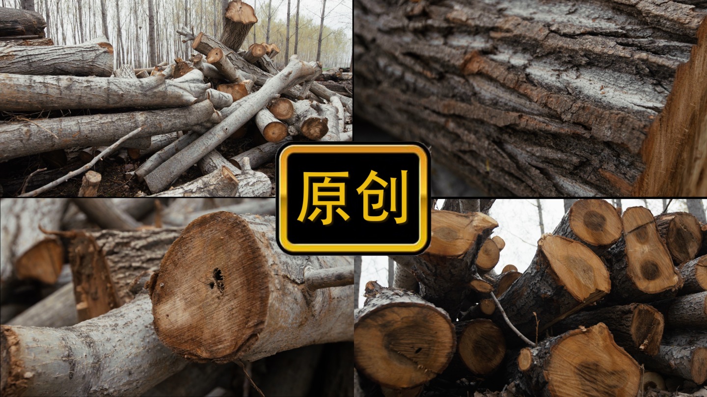 木材 木头 砍伐 木材市场 原木