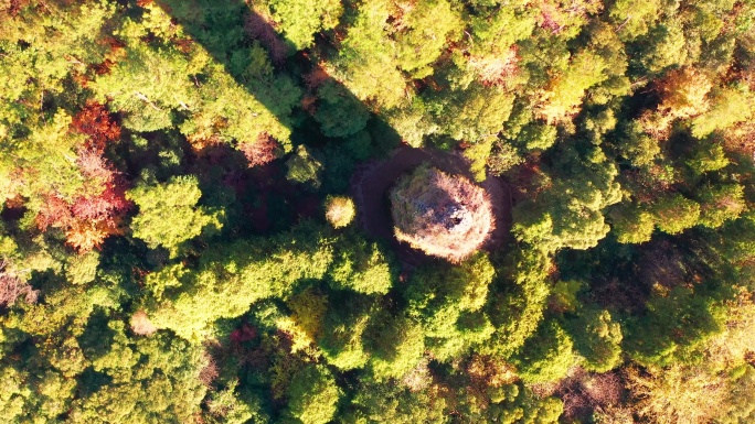 天台山国清寺