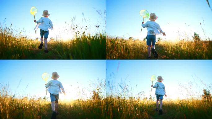 后视图是一个男孩的剪影，他跑过麦田，手里拿着蝴蝶和防虫网。晴朗的天空，放松，享受和感受空气和自由。对