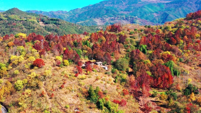 天台山国清寺山顶，金地岭，霞客古道