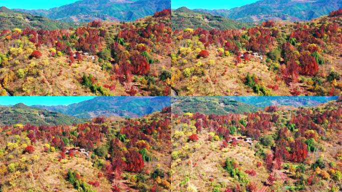 天台山国清寺山顶，金地岭，霞客古道