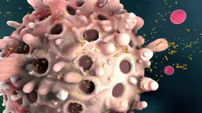 白细胞或免疫细胞在免疫反应中将抗体隔离到血浆中-三维图示