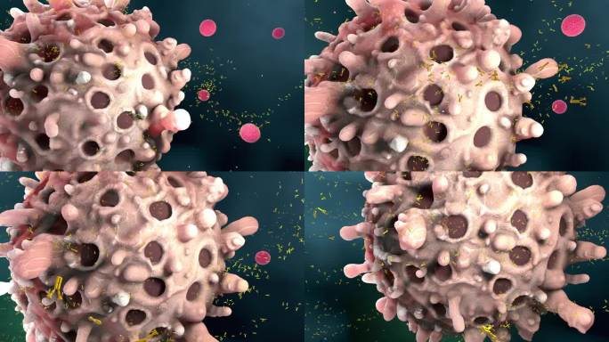 白细胞或免疫细胞在免疫反应中将抗体隔离到血浆中-三维图示
