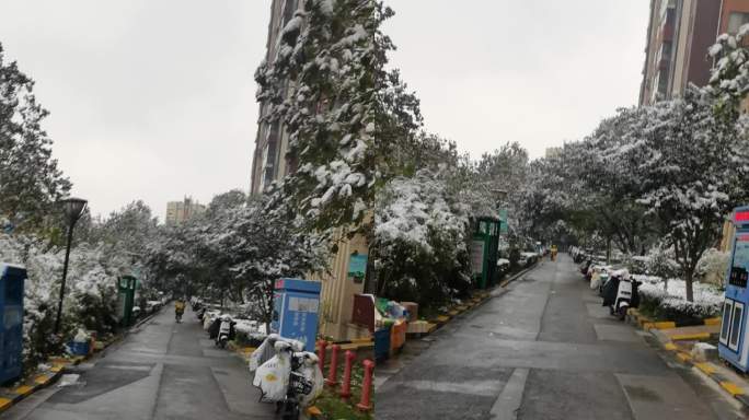 济南小区雪景