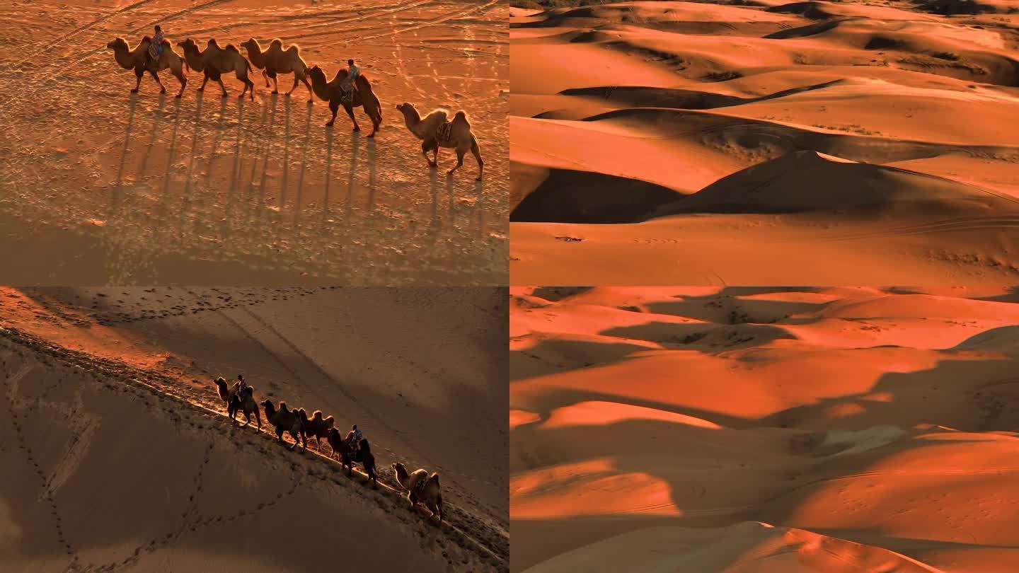 丝绸之路一带一路：沙漠骆驼砥砺前行