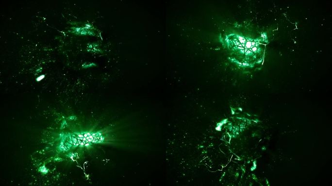 旋转抽象能量绿色发光粒子核环背景