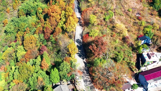 天台山国清寺山顶，金地岭，霞客古道