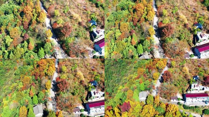 天台山国清寺山顶，金地岭，霞客古道