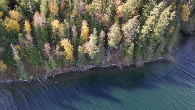邓恩湖的秋天色彩:大自然画布上的色彩交响曲