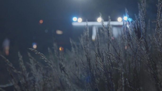 夜间穿过草丛看到的救急灯闪烁的消防车