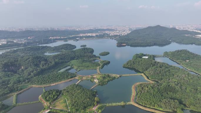 广东省东莞市同沙生态公园同沙水库航拍