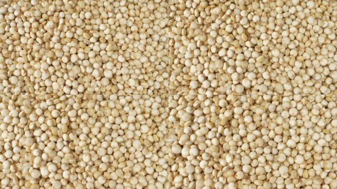 白藜麦是一种用途广泛的食材，可以用在沙拉、汤中