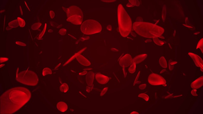 人体红细胞动画，红细胞在红色背景上运动的循环动画。红细胞在人体内的飞行。科学与医学概念背景