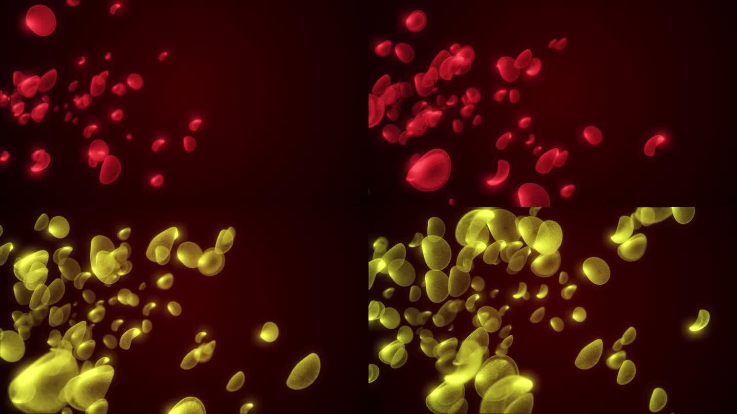 人体红细胞动画，红细胞在红色背景上运动的循环动画。红细胞在人体内的飞行。科学与医学概念背景