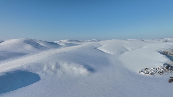 寒冬雪景自然风光银色呼伦贝尔