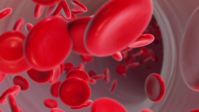 红血球在血管中流动