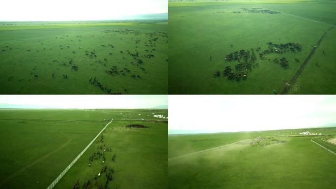 新疆哈萨克族天马节草原牧马