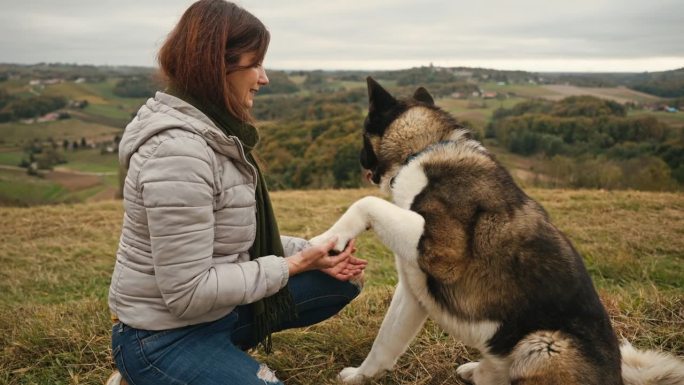 幸福的女人与秋田犬在乡间的草山上握手的侧视图