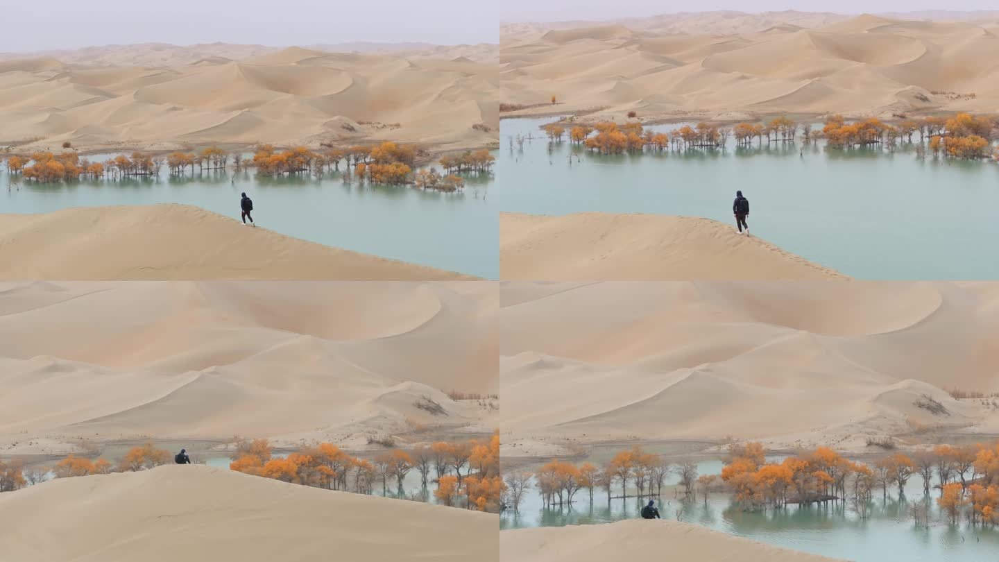 航拍男人走在秋天新疆葫芦岛的沙丘上