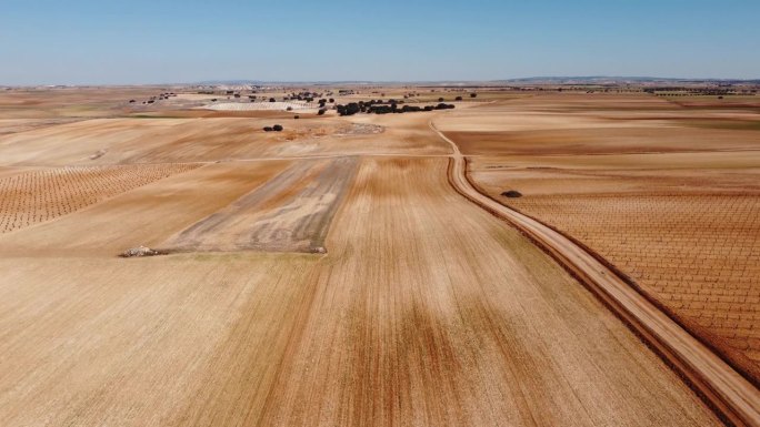 旱地和线条的鸟瞰图。无人机拍摄的卡斯蒂利亚-拉曼查，唐吉诃德的土地，葡萄园，平坦的土地，谷物，土路和