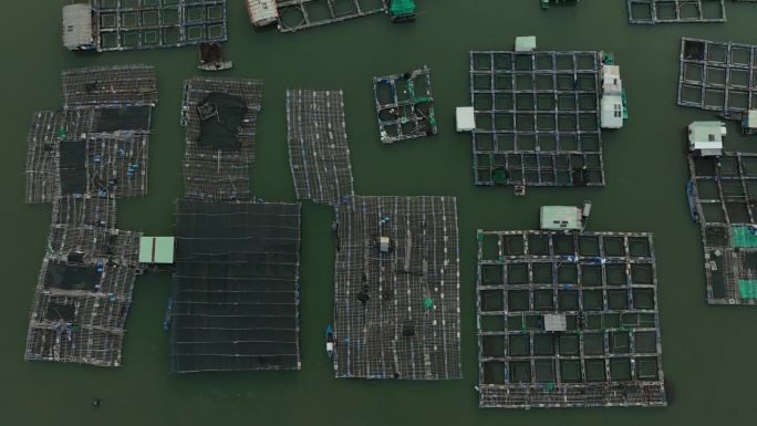 航拍视频牡蛎和cobia养殖筏村在巴里翁头省海岸，龙子筏村