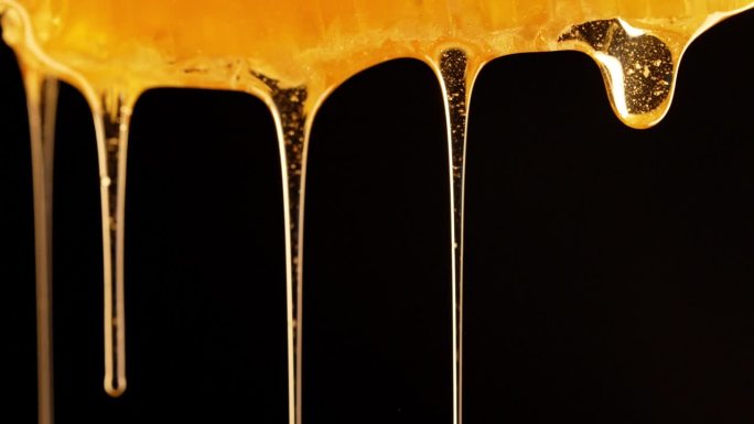 蜂蜜从蜂巢中滴落，极端宏观。天然蜜蜂蜂蜡细胞，黄金长生不老药