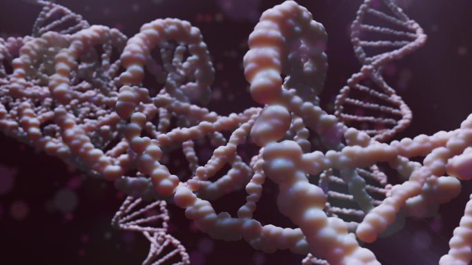 利用放大技术对基因组编码健康的dna结构进行测序
