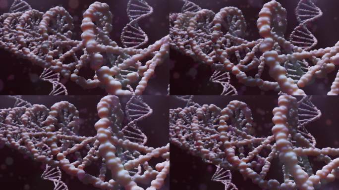 利用放大技术对基因组编码健康的dna结构进行测序
