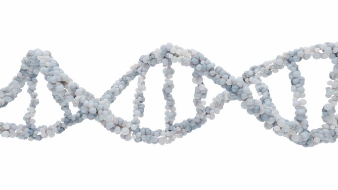 白色背景和绿色屏幕上的DNA分子。可用于教育、科学或化妆品行业背景。元素的动画。