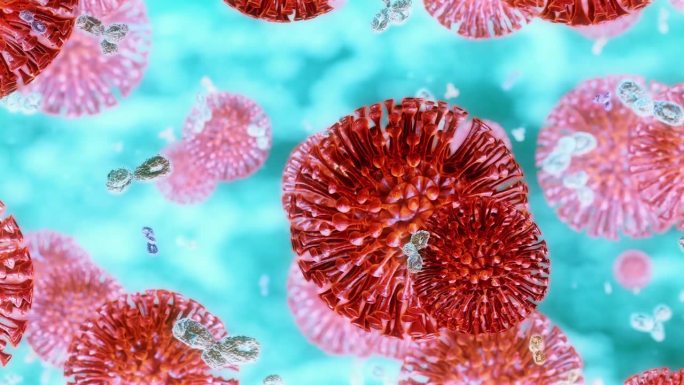 甲型流感病毒预防DNA转基因