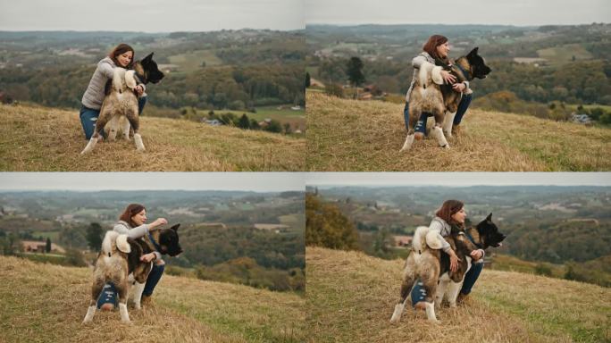美丽的女人拥抱和抚摸可爱的秋田犬在乡下的草山