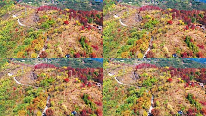 天台山国清寺山顶，金地岭，霞客古道