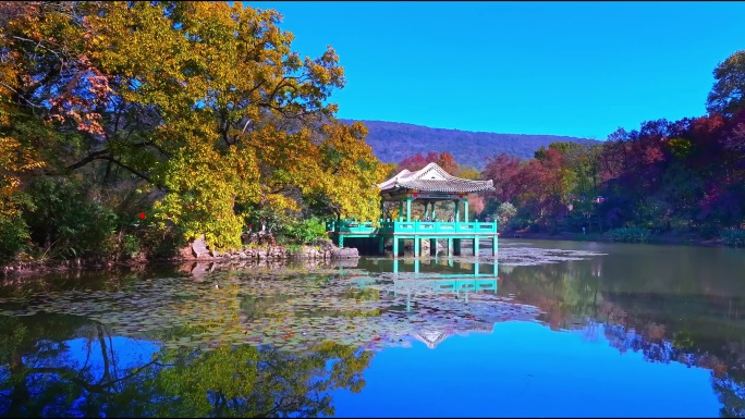 流徽榭，藏在南京紫金山中山陵里的秋日宝藏