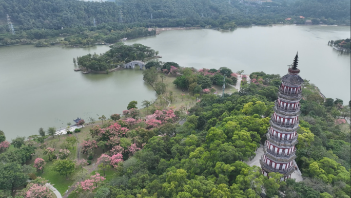 顺峰山公园