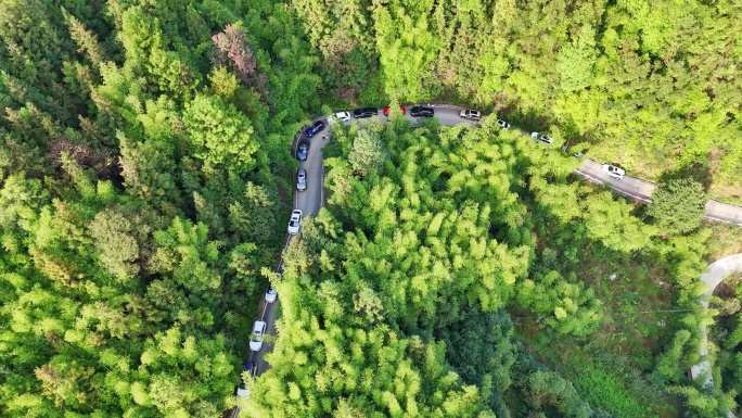 航拍山城重庆乡村公路秋色